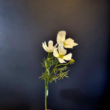 Load image into Gallery viewer, Silk Flowers Individual Stems