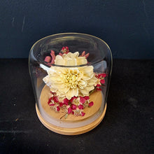 Load image into Gallery viewer, Dried Flower Domes