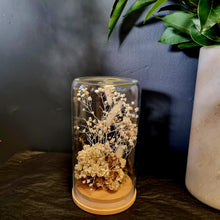 Load image into Gallery viewer, Dried Flower Domes