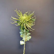 Load image into Gallery viewer, Silk Flowers Individual Stems