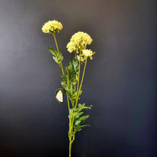 Load image into Gallery viewer, Silk Flowers Individual Stems