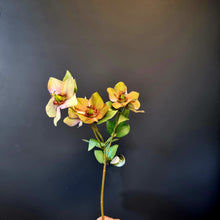 Load image into Gallery viewer, Silk Flowers Individual Stems