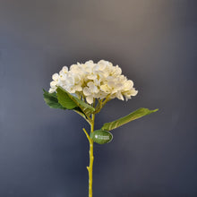 Load image into Gallery viewer, Silk Flowers Individual Stems