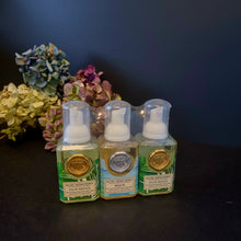 Load image into Gallery viewer, Michel Design Works Soaps and Foaming Soap
