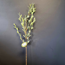 Load image into Gallery viewer, Silk Flowers Individual Stems