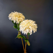 Load image into Gallery viewer, Silk Flowers Individual Stems