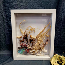 Load image into Gallery viewer, Dried - Floral Shadow Box