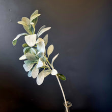 Load image into Gallery viewer, Silk Flowers Individual Stems