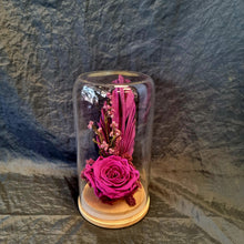 Load image into Gallery viewer, Large Hot Pink Preserved Rose Dome - Blanc Flowers