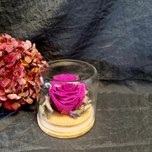 Load image into Gallery viewer, Hot Pink Medium Preserved Rose Dome - Blanc Flowers