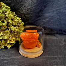 Load image into Gallery viewer, Medium Orange Preserved Rose Dome - Blanc Flowers