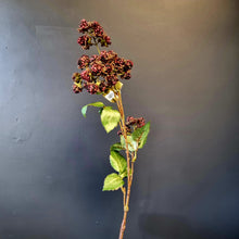 Load image into Gallery viewer, Silk Flowers Individual Stems