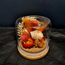 Load image into Gallery viewer, Dried Flower Domes