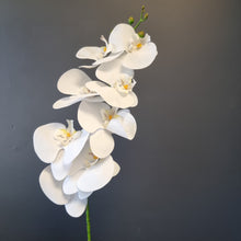 Load image into Gallery viewer, Silk Flowers Individual Stems