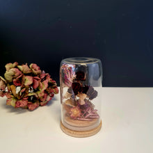 Load image into Gallery viewer, Dried Flower Domes
