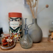 Load image into Gallery viewer, Glass Plant Mister