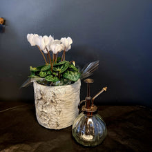 Load image into Gallery viewer, Glass Plant Mister