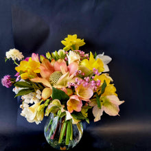 Load image into Gallery viewer, Spring SPECIAL