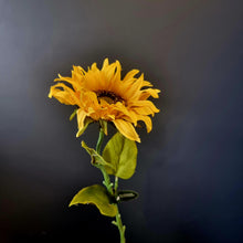 Load image into Gallery viewer, Silk Flowers Individual Stems