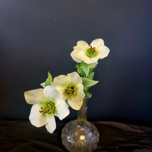 Load image into Gallery viewer, Silk Flowers Individual Stems
