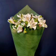 Load image into Gallery viewer, November Special - Alstromeria
