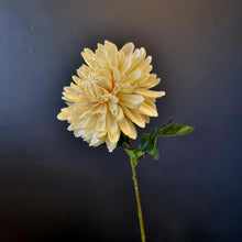 Load image into Gallery viewer, Silk Flowers Individual Stems