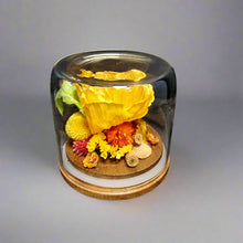 Load image into Gallery viewer, Dried Flower Domes