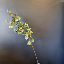 Load image into Gallery viewer, Silk Flowers Individual Stems