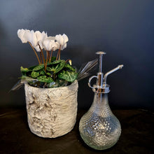 Load image into Gallery viewer, Glass Plant Mister
