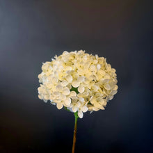 Load image into Gallery viewer, Silk Flowers Individual Stems