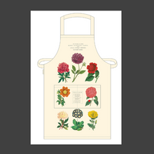 Load image into Gallery viewer, Cavallini &amp; Co Apron vintage botanica style 
