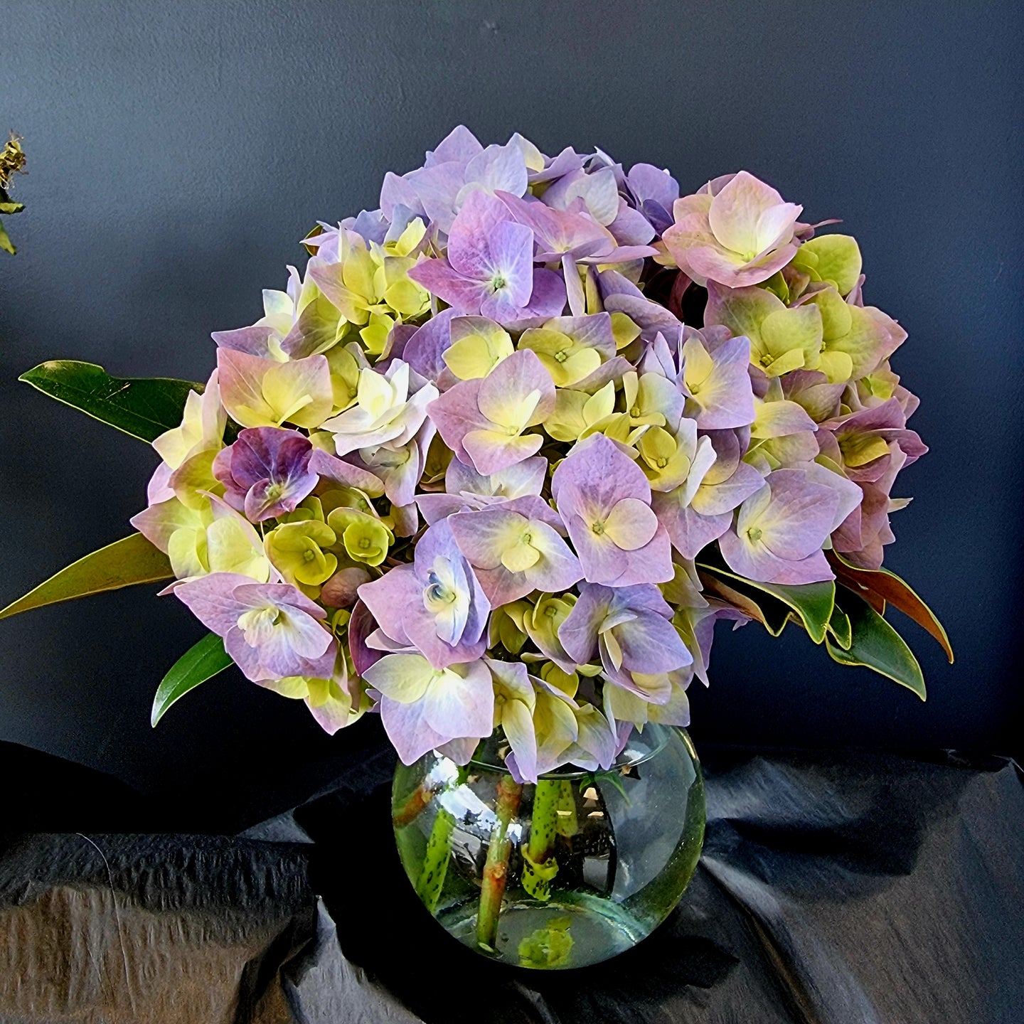 Pastel Posy in Vase - Hydrangeas