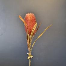 Load image into Gallery viewer, Silk Flowers Individual Stems

