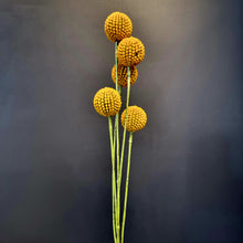 Load image into Gallery viewer, Silk Flowers Individual Stems
