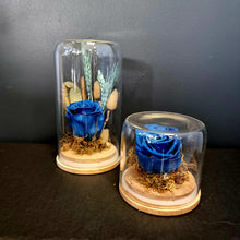 Load image into Gallery viewer, Preserved Rose Domes
