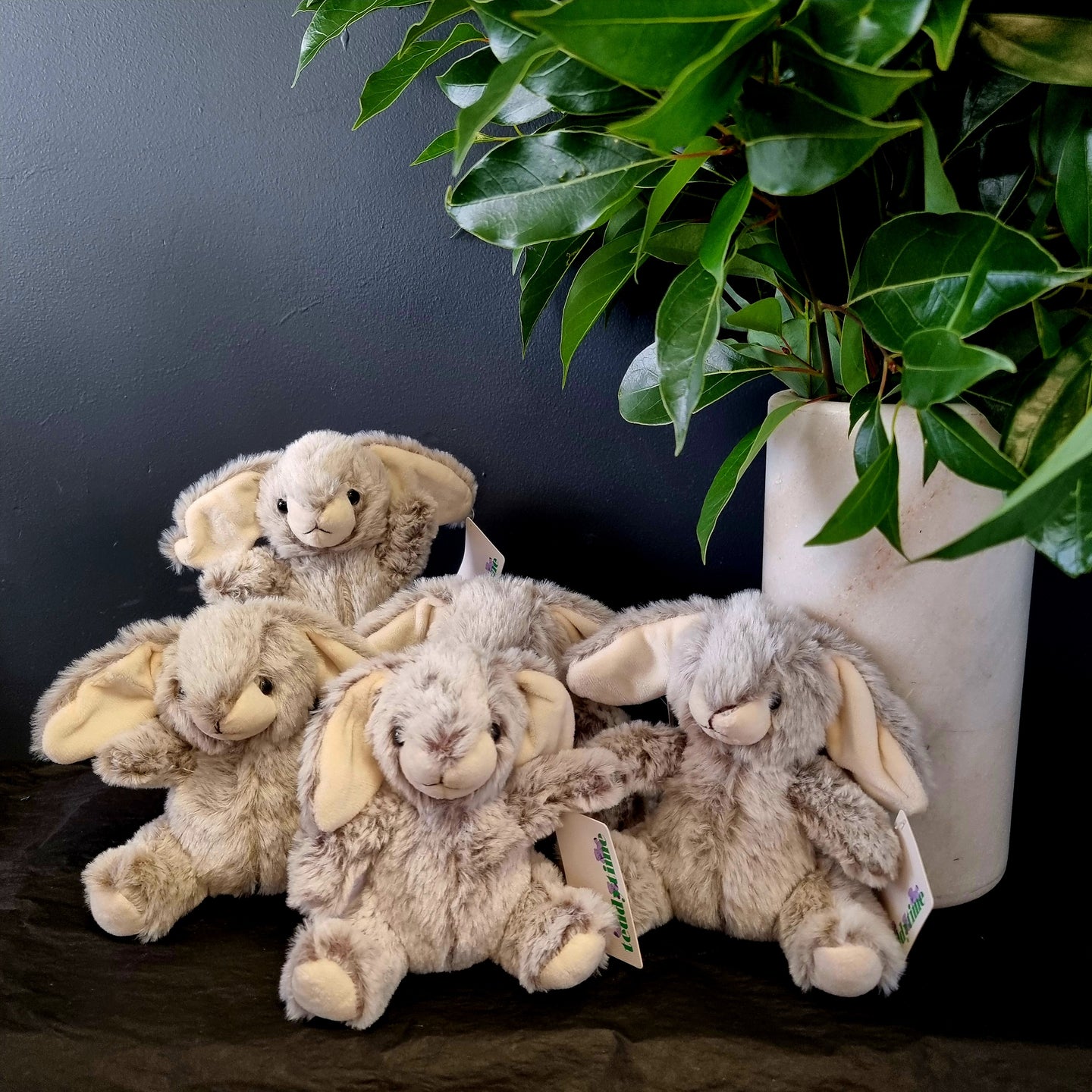 Bunny - Soft Toy
