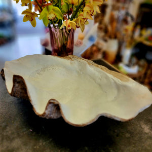 Clam Shell