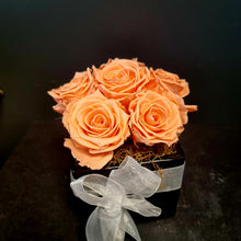 Load image into Gallery viewer, Vase of Preserved Roses

