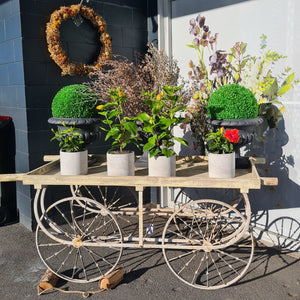 Flower Market Wagon