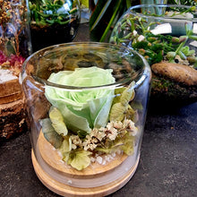 Load image into Gallery viewer, Green Medium Preserved Rose Dome - Blanc Flowers
