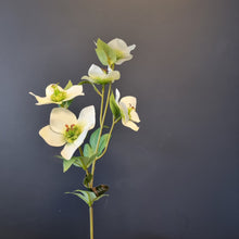 Load image into Gallery viewer, Silk Flowers Individual Stems
