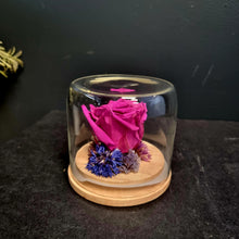 Load image into Gallery viewer, Preserved Rose Domes
