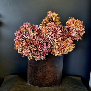 Dried arrangement in jug or pots