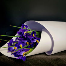 Load image into Gallery viewer, Iris en masse - Spring Special
