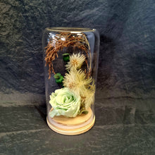 Load image into Gallery viewer, Large Green Preserved Rose Dome - Blanc Flowers
