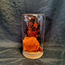 Load image into Gallery viewer, Large Orange Preserved Rose Dome - Blanc Flowers
