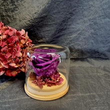 Load image into Gallery viewer, Purple Medium Preserved Rose Dome - Blanc Flowers
