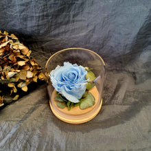 Load image into Gallery viewer, Preserved Rose Domes
