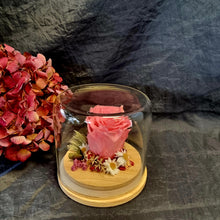 Load image into Gallery viewer, Bright Pink Medium Preserved Rose Dome - Blanc Flowers
