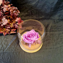 Load image into Gallery viewer, Preserved Rose Domes
